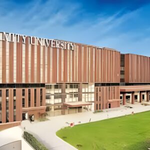 Online MBA Degree Program - Amity University Online