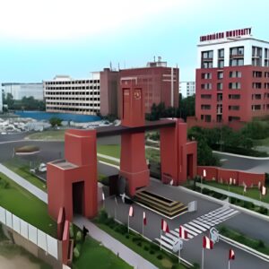 Online MBA Degree Program - Chandigarh University Online